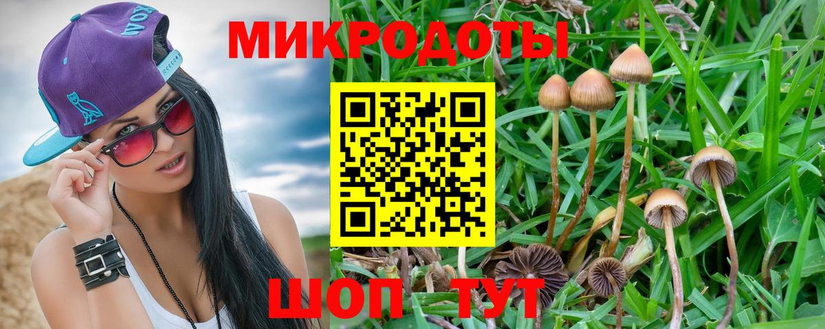 Псилоцибиновые грибы Psilocybe  Вход с VPN  Мичуринск 